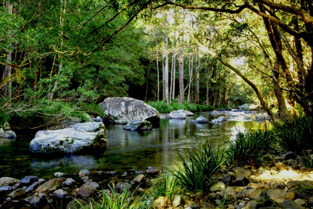 Never Never River in the Promised Land, Gleniffer, Bellingen