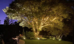 Luxury garden night lights