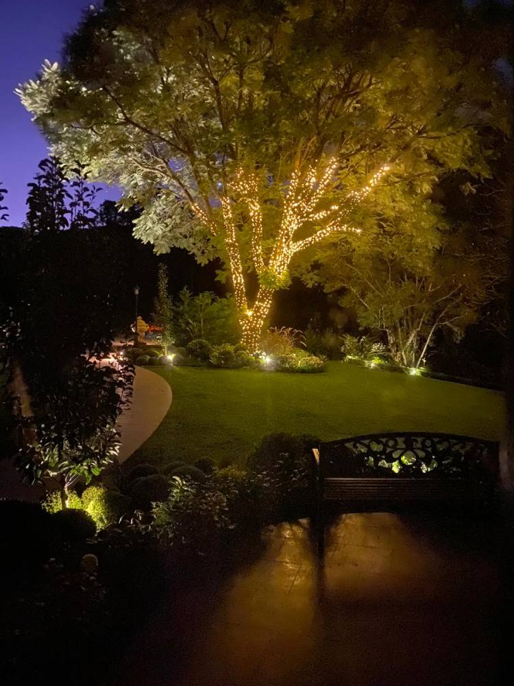 Gorgeous night view garden lights, fairy lights, Hermitage Estate Australia