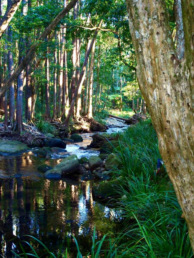 Hermitage Estate History A Brief Background Hermitage Estate