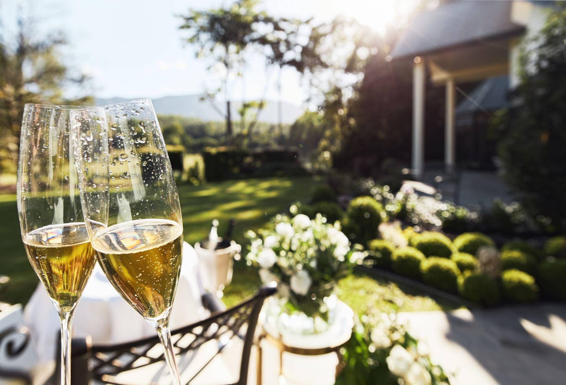 Champagne alfresco at Hermitage Estate