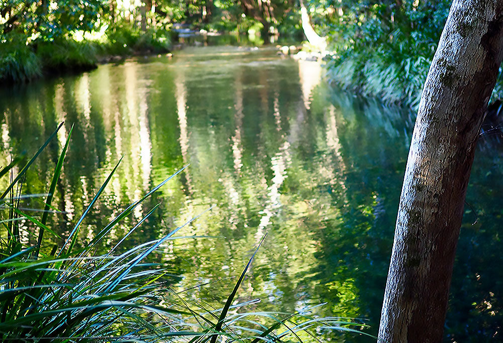 Hermitage Estate fresh water river for swimming and meditation