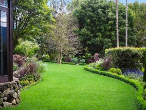 Discover our Intimate Settings for Elopements