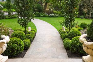 Experience the Magic of Love with our Romantic Elopement