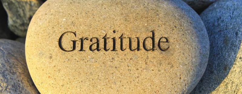 Daily Gratitude - grateful energy at Hermitage Estate