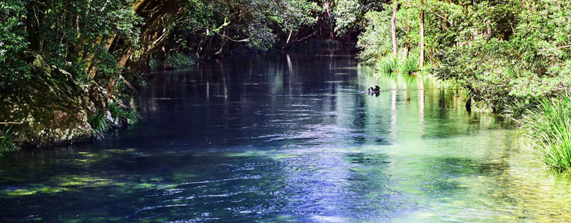 Explore your private fresh water river, go for a refreshing swim