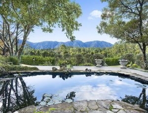 Relaxing views at Hermitage Estate